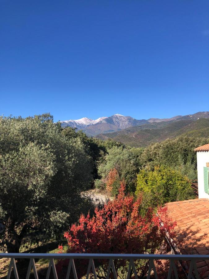 Bonheur Vallespir * Céret