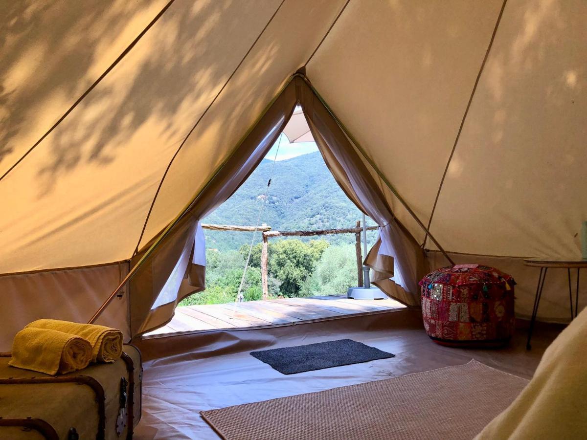 Bonheur Vallespir Bed & Breakfast
